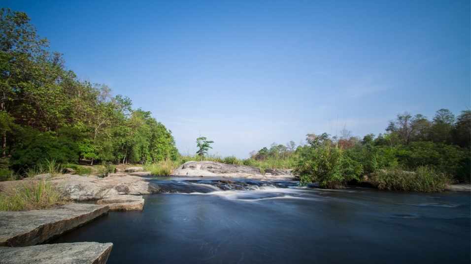 ที่เที่ยวเดินป่า อุทยานแม่วงก์